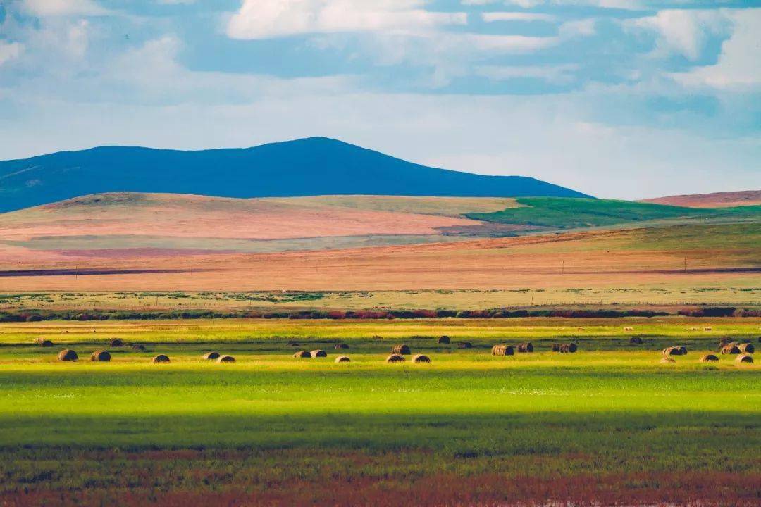 内蒙古任务与学习技能详细步骤指南