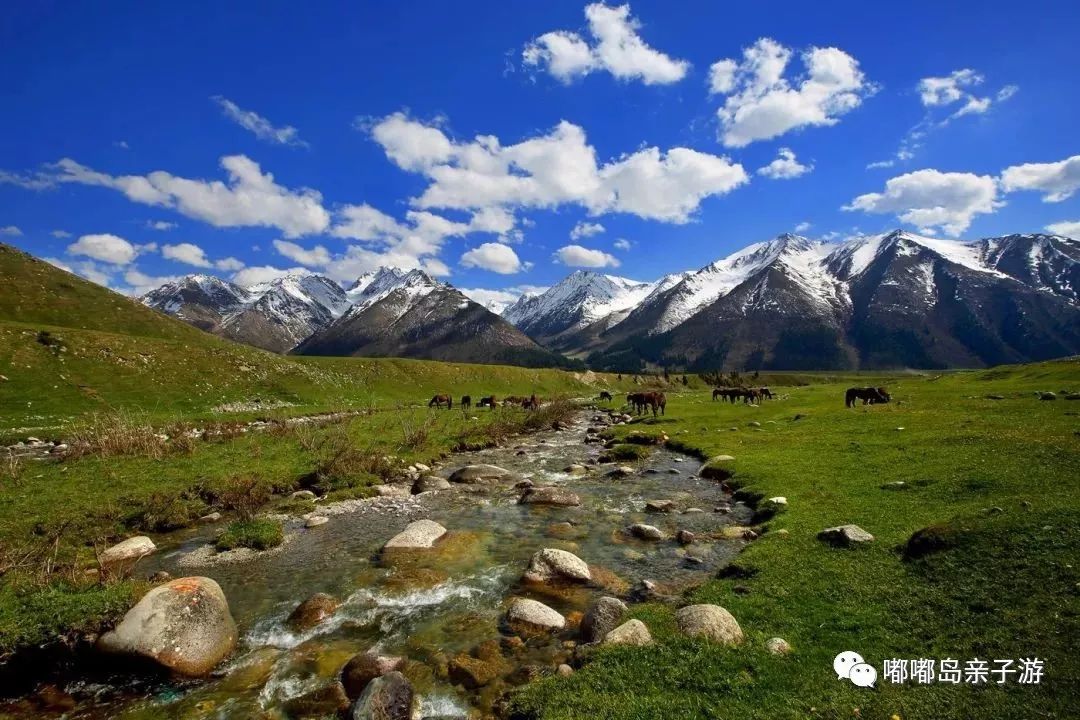 新疆大地的瑰宝，文化与自然的交响乐章