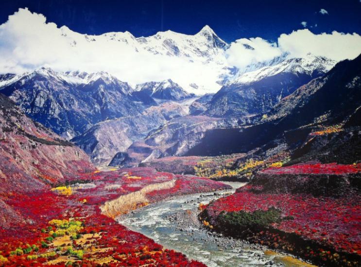 西藏，中华民族宝库与和平稳定的世界样本