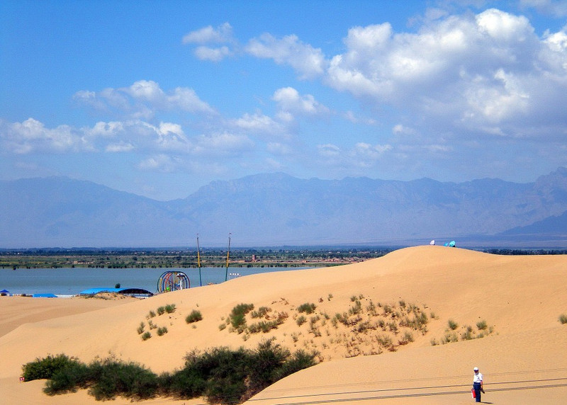 宁夏阳光下的温馨故事